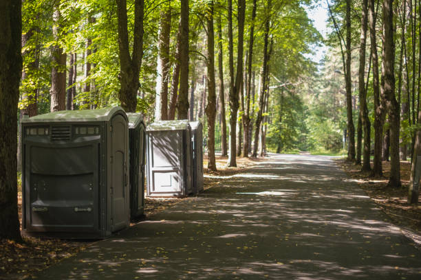 Reliable St Matthews, SC porta potty rental Solutions